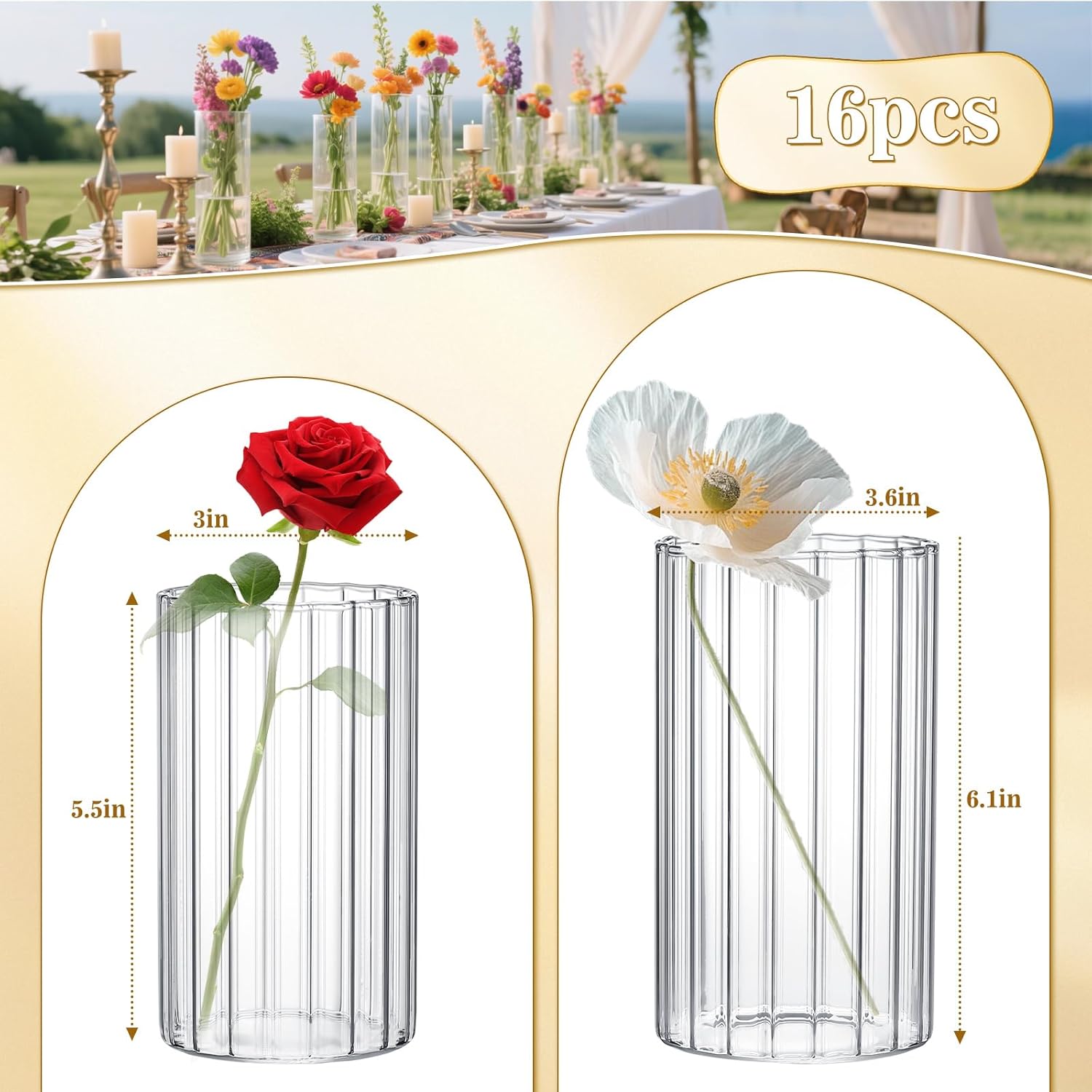 16 Pack Clear Glass Cylinder Vases 55 6 Inch Tall for Home Decor Wedding Centerpieces