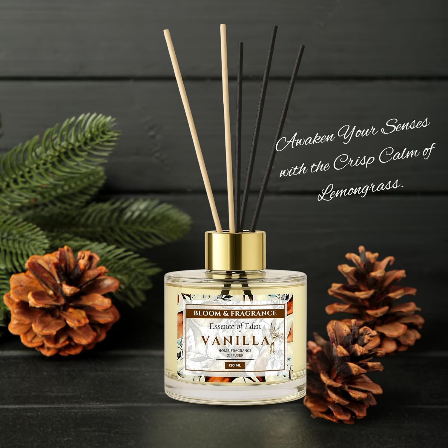 Bloom Fragrance Reed Diffuser 4oz Vanilla