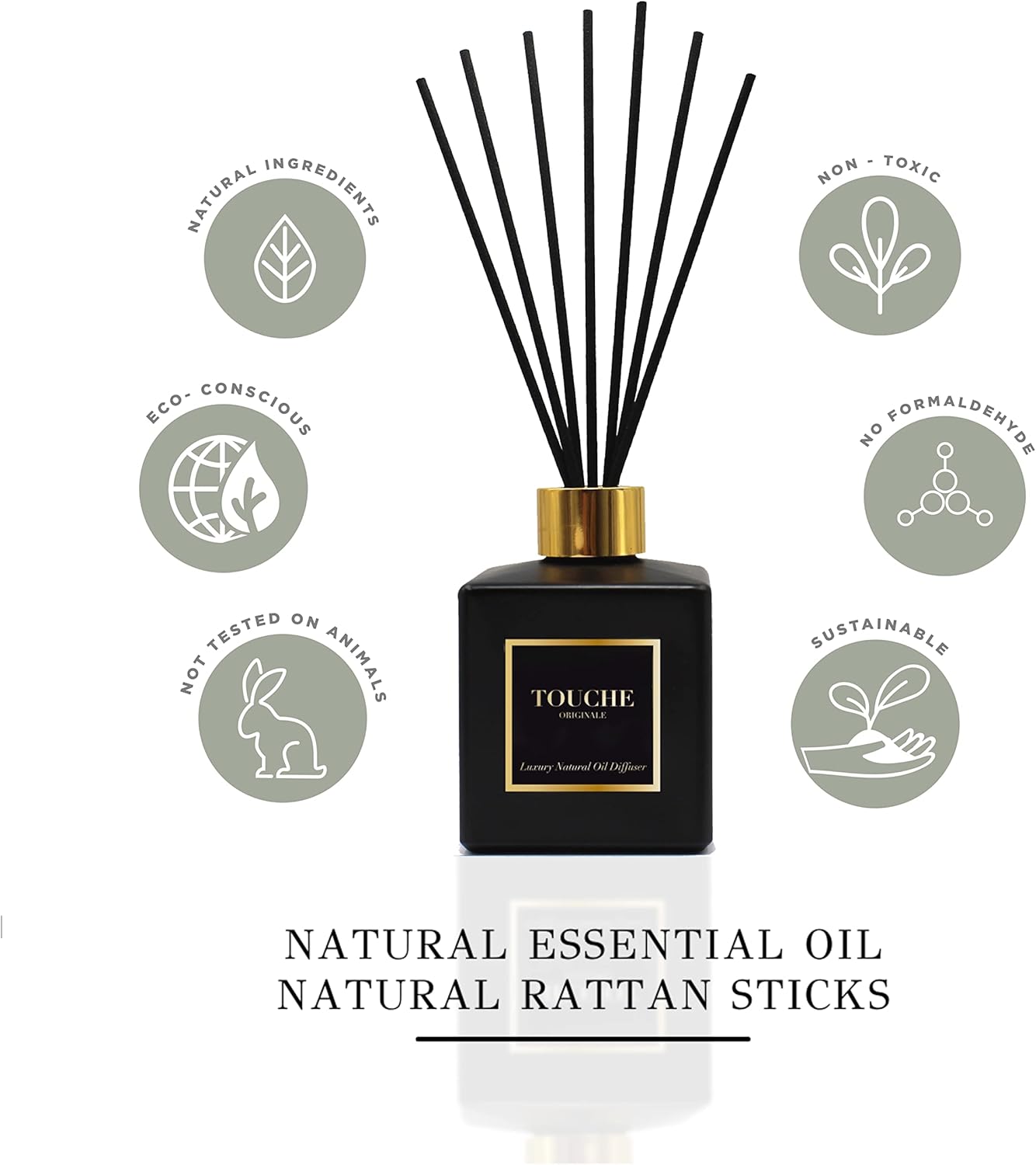 Touche Luxury Natural Reed Diffuser Vanilla Caramel 475 OZ