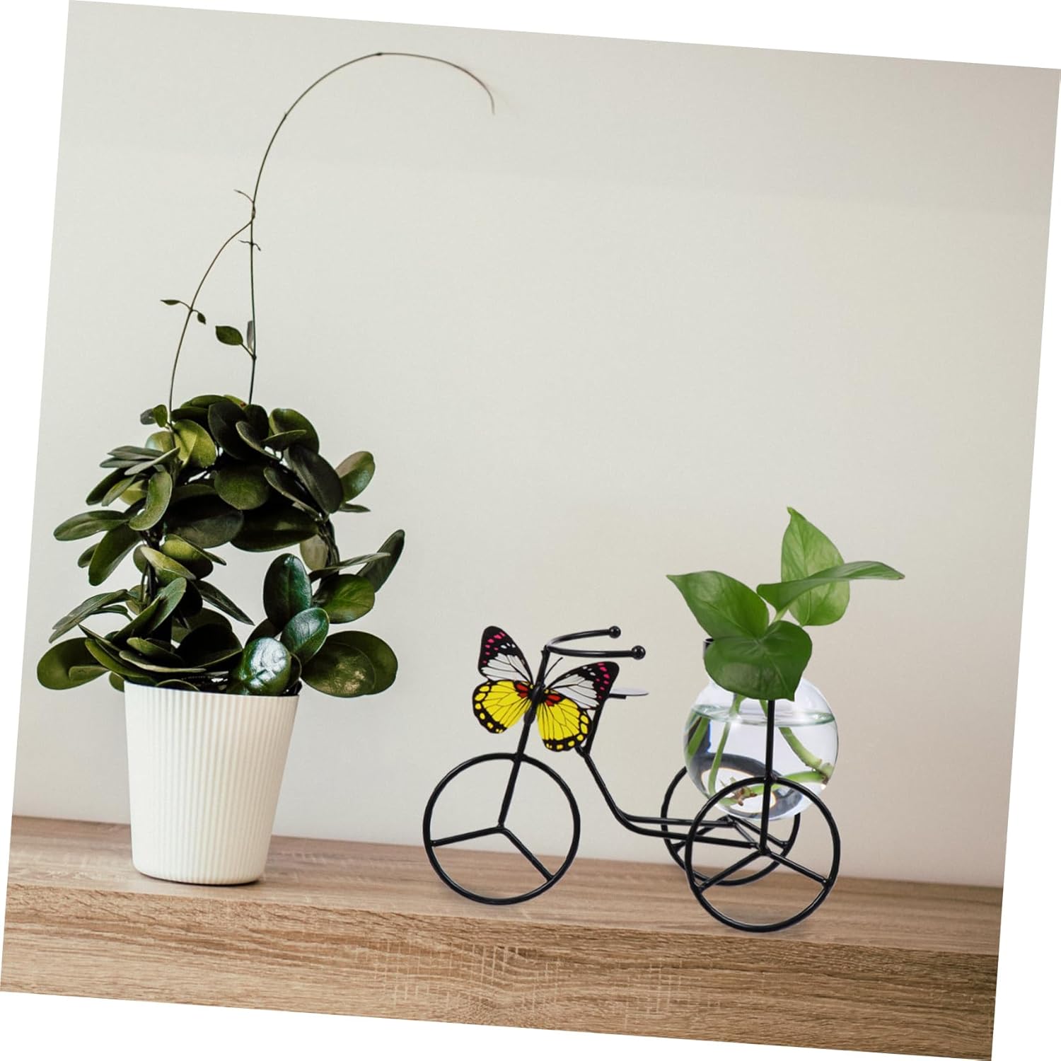 Modern Decorative Pedicab Glass Vase Wrought Iron Flower Pot
