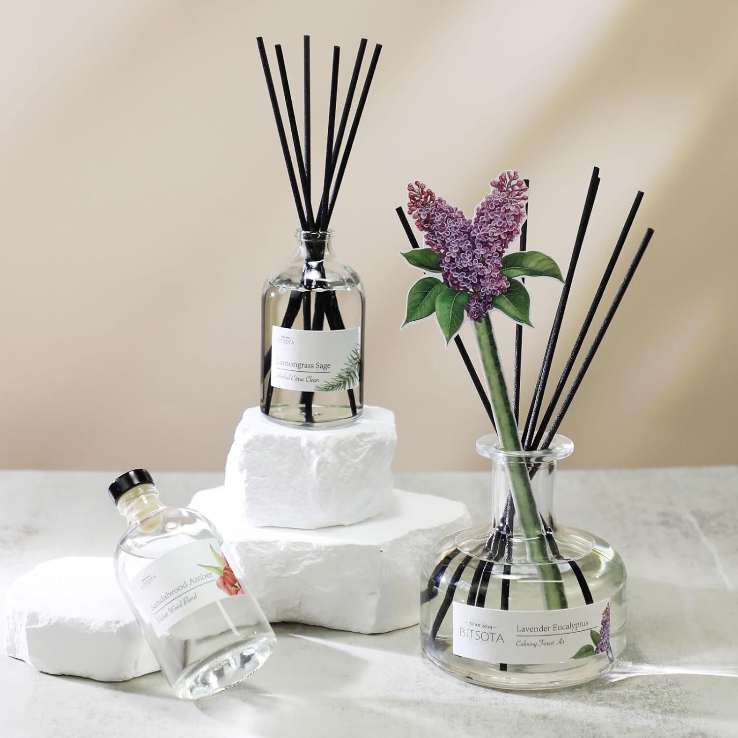 BITSOTA Reed Diffuser Set with 6 Scents