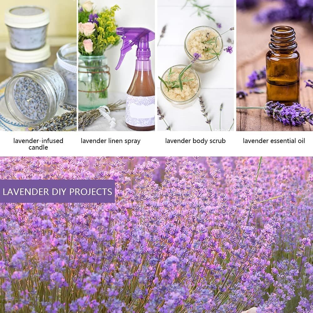 Cedar Space 32 Lavender Sachet Bags for Closets and Drawers