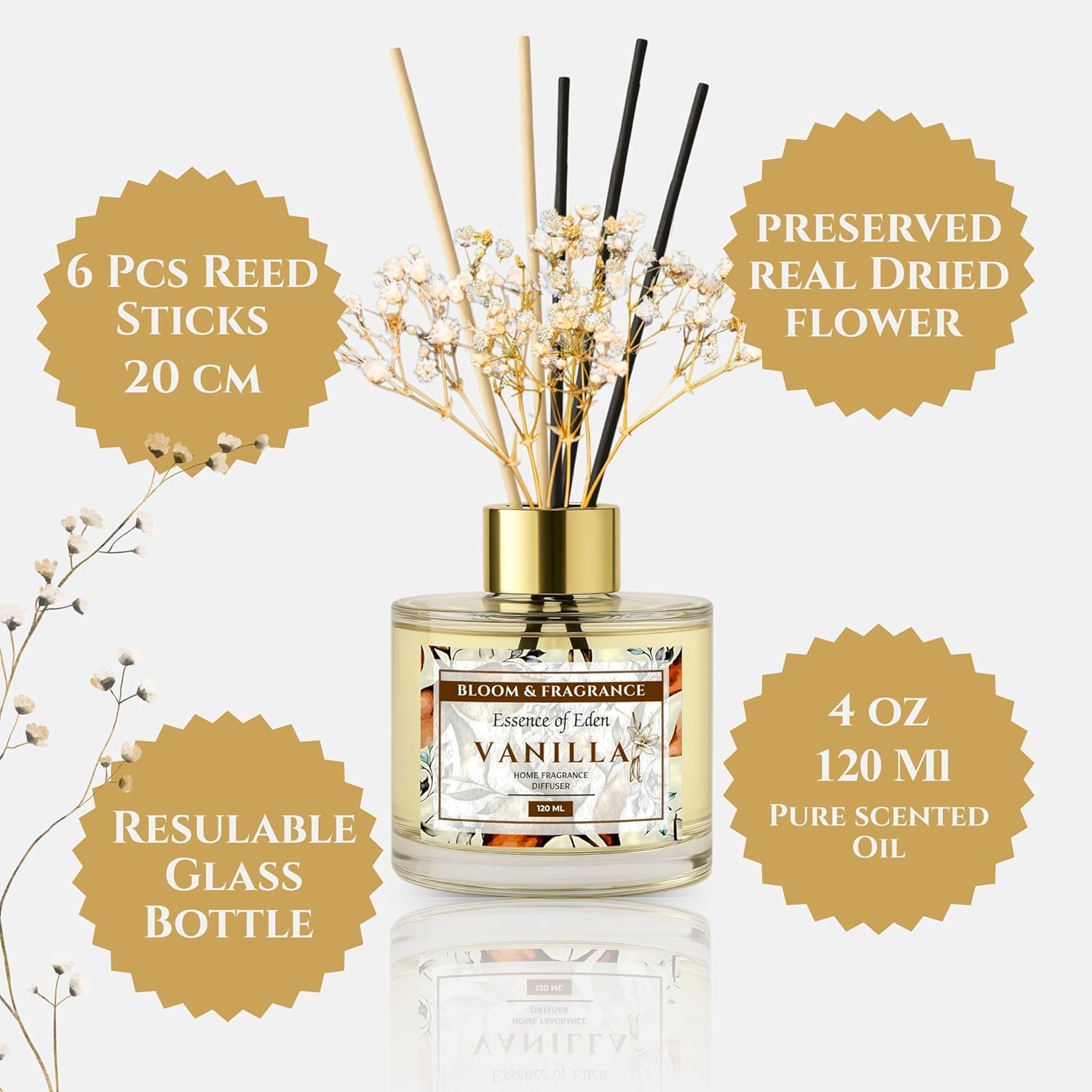 Bloom Fragrance Reed Diffuser 4oz Vanilla