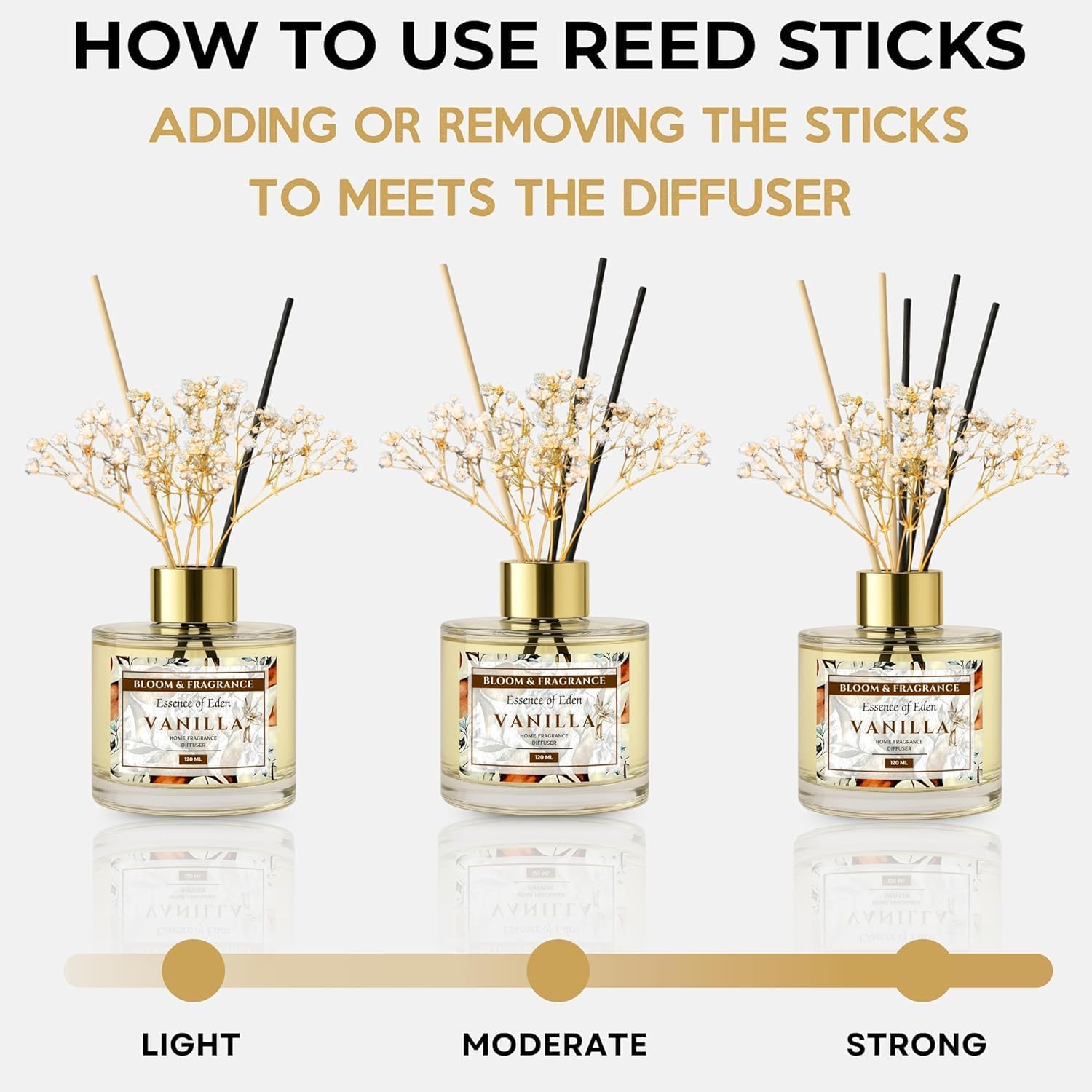 Bloom Fragrance Reed Diffuser 4oz Vanilla
