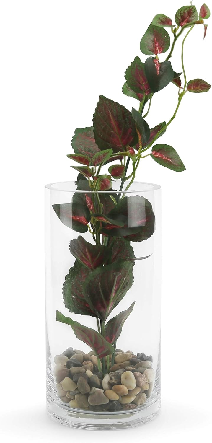 WGVI Clear Glass Cylinder Vases 6 Pcs Set 4 W x 8 H