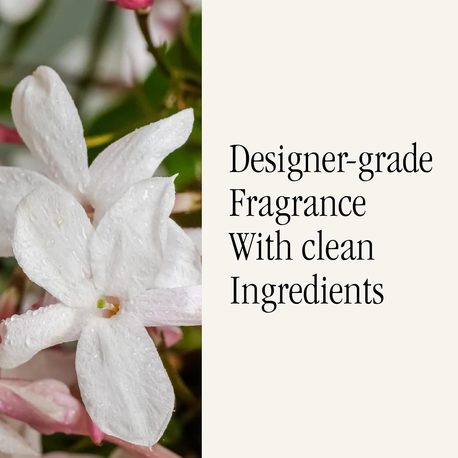 Pura Soap Paper Factory Scent Refill - Flowering Currant 2 Pack