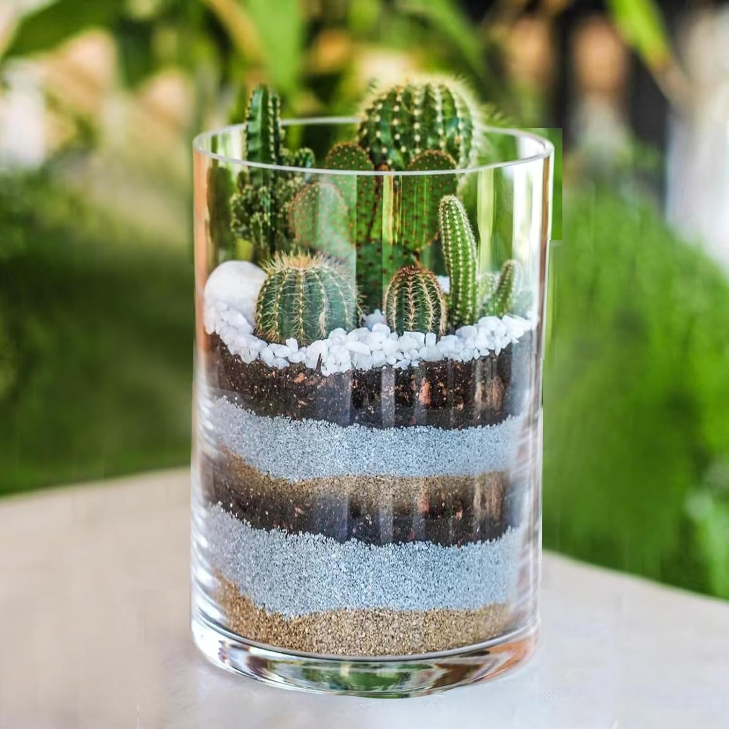 Clear Glass Cylinder Vase 8 H 4 D for Home Decor