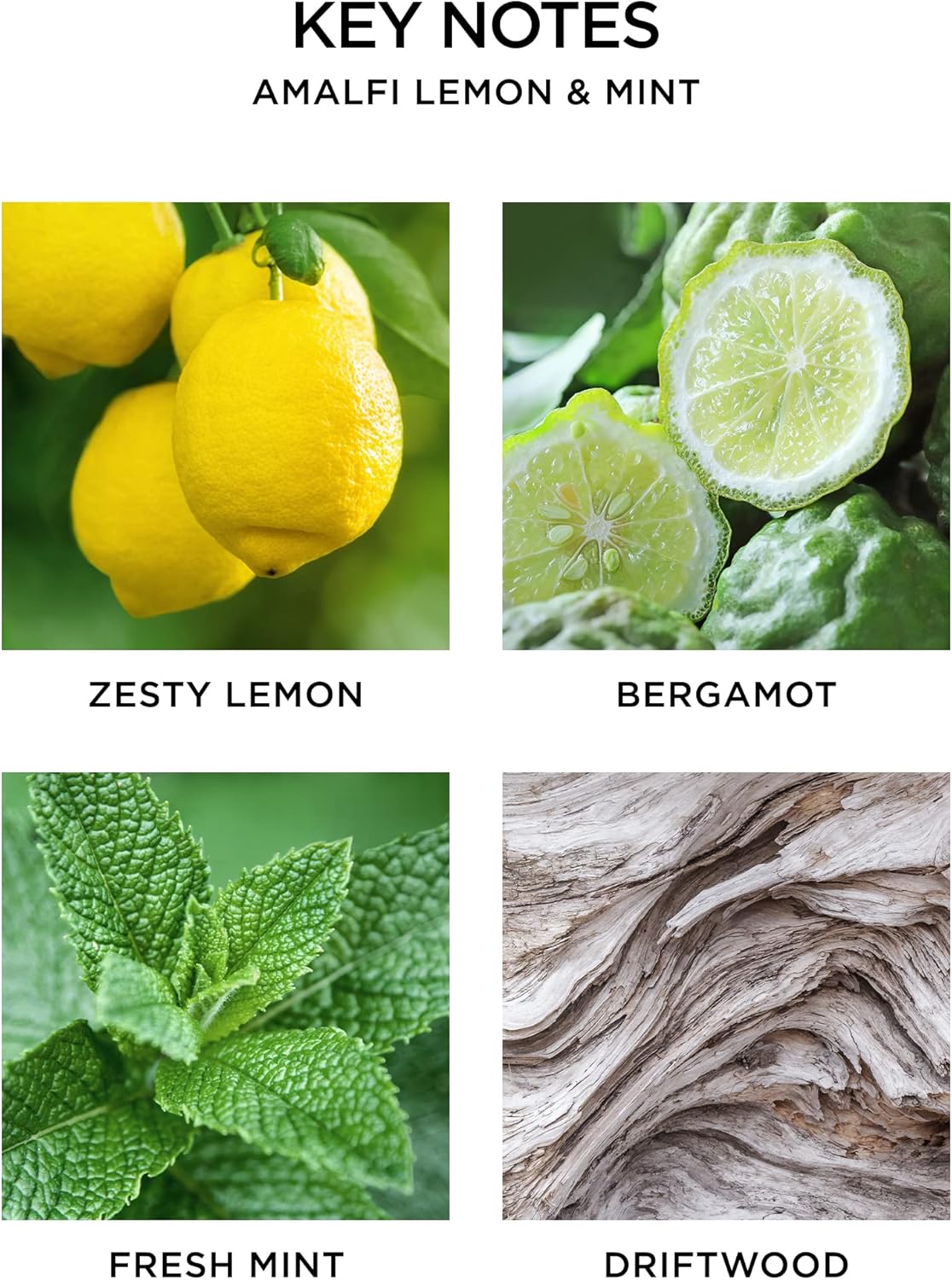 NEST New York Reed Diffuser Amalfi Lemon Mint 59 fl oz