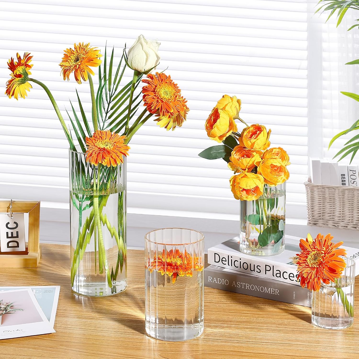 16 Pack Clear Glass Cylinder Vases 55 6 Inch Tall for Home Decor Wedding Centerpieces