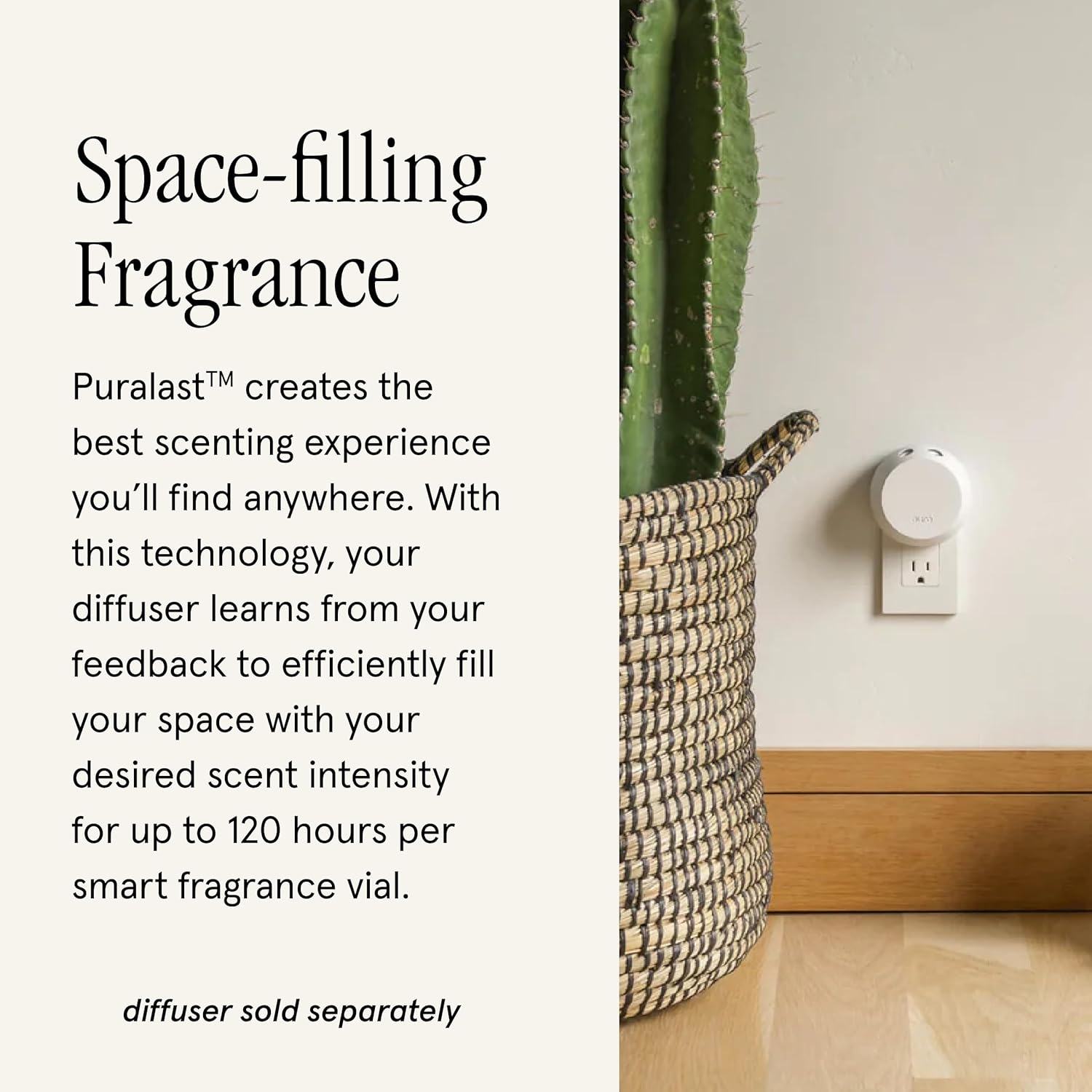 Pura Guy Fox Home Scent Refill - 2 Pack